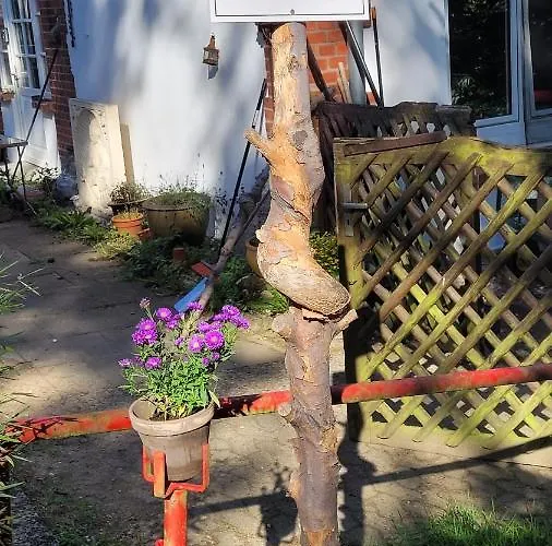 Gaestezimmer Schoene Aussicht